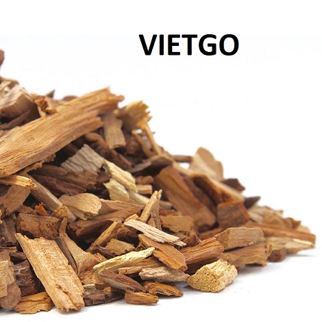 Gỗ thông vụn Vietgo Gỗ thông vụn Vietgo